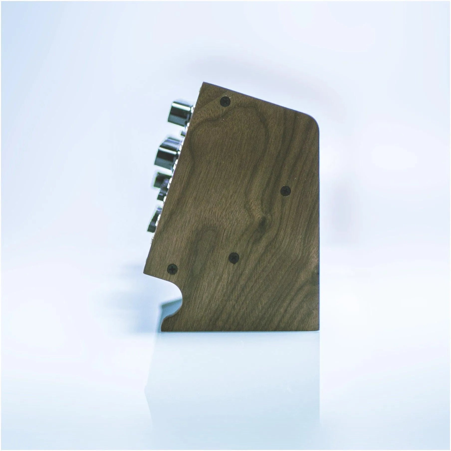 Mount for Moog Modules